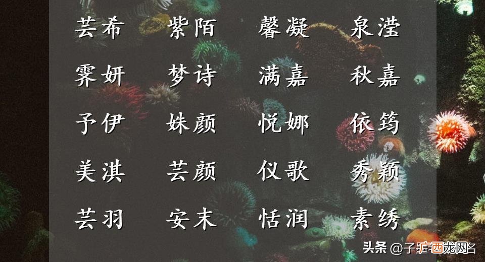 温婉动人的女孩名字大全 好听的女孩名字温婉大气