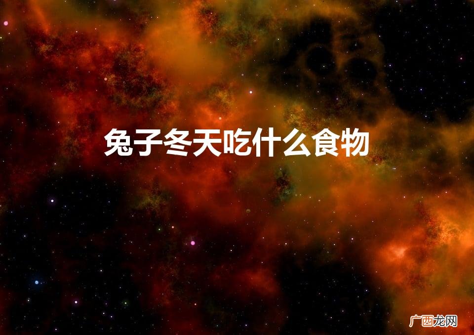 小兔子冬天吃什么 兔子冬天吃什么食物