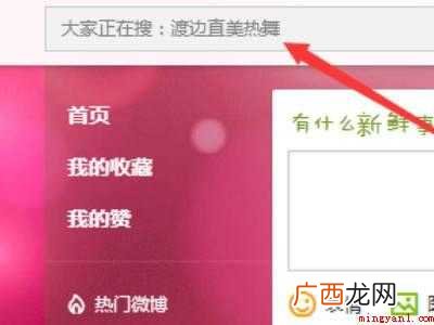 怎么看别人的微博主页的具体操作步骤 怎么看别人的微博主页