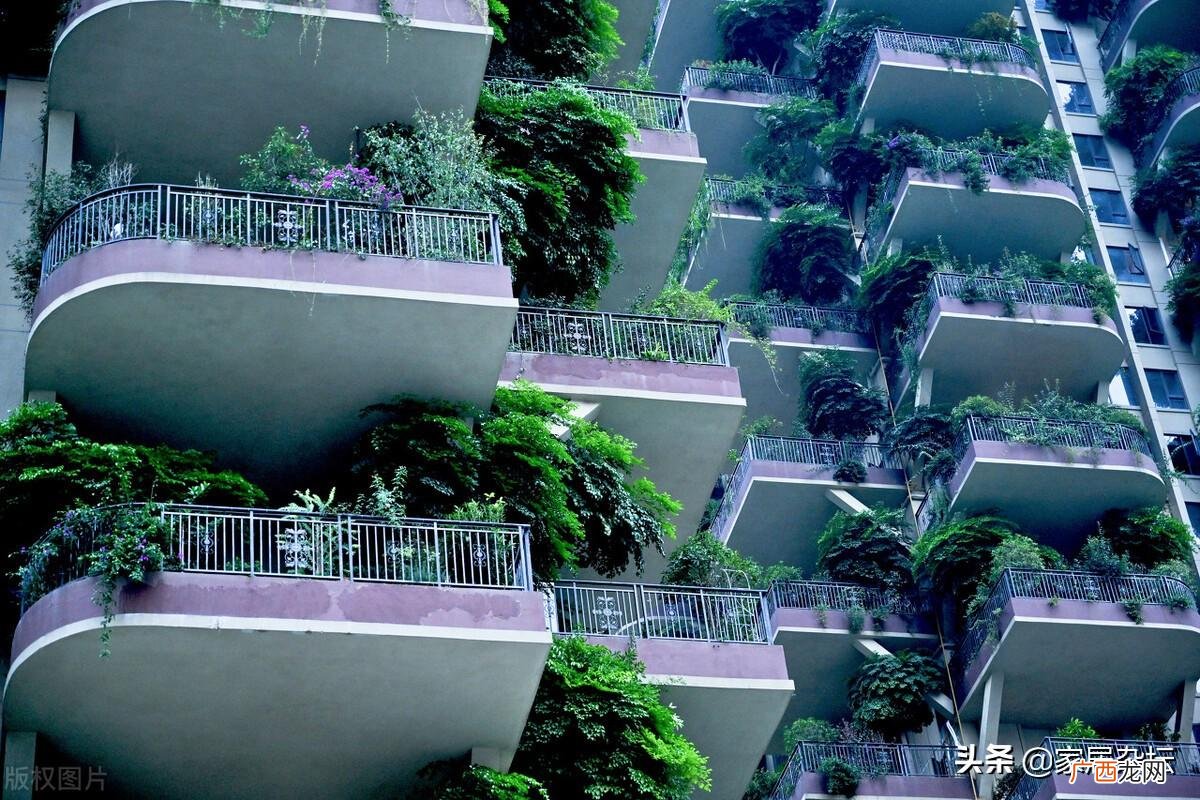 出现第四代住房刷屏的真实现状 第四代住房是什么