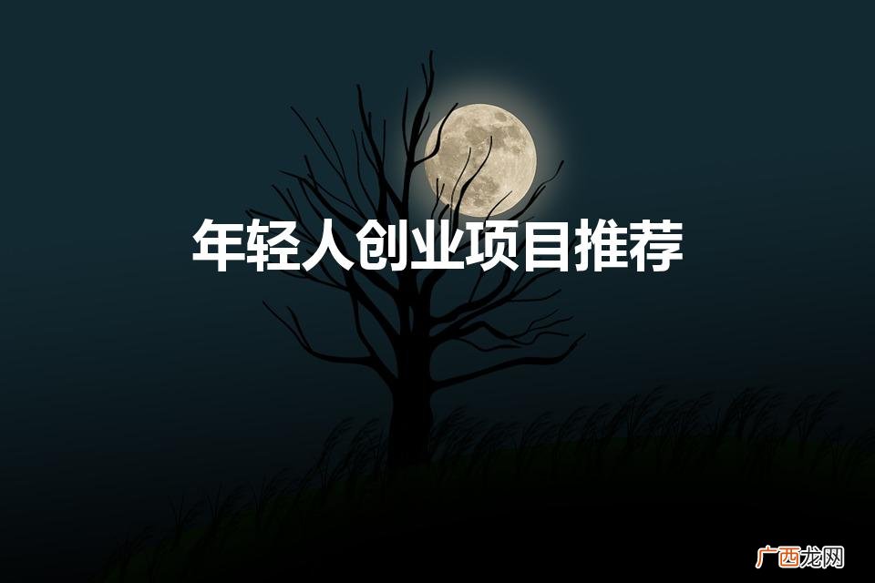 年轻人创业项目推荐(适合年轻人创业项目投资小)