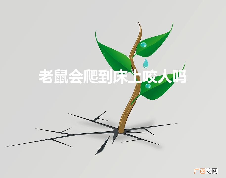 老鼠会爬到床上咬人吗（卧室有老鼠睡觉安全吗)