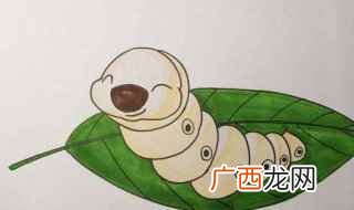 蚕的习性 蚕的基本特征