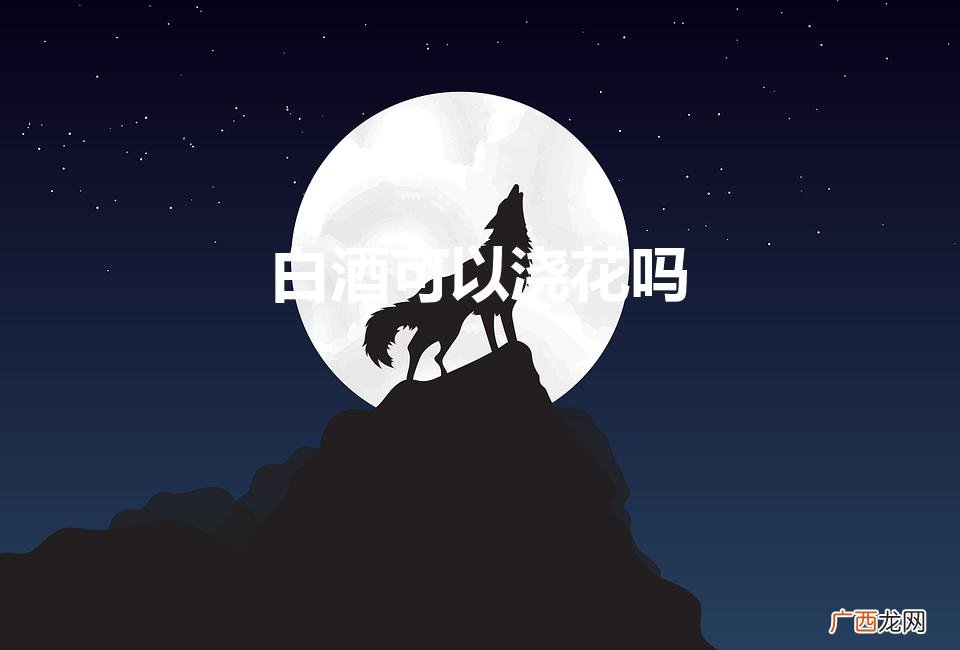 白酒可以浇花吗（白酒可以浇花么)