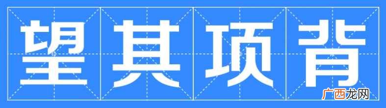 望其项背,汉语成语,拼音 望其项背