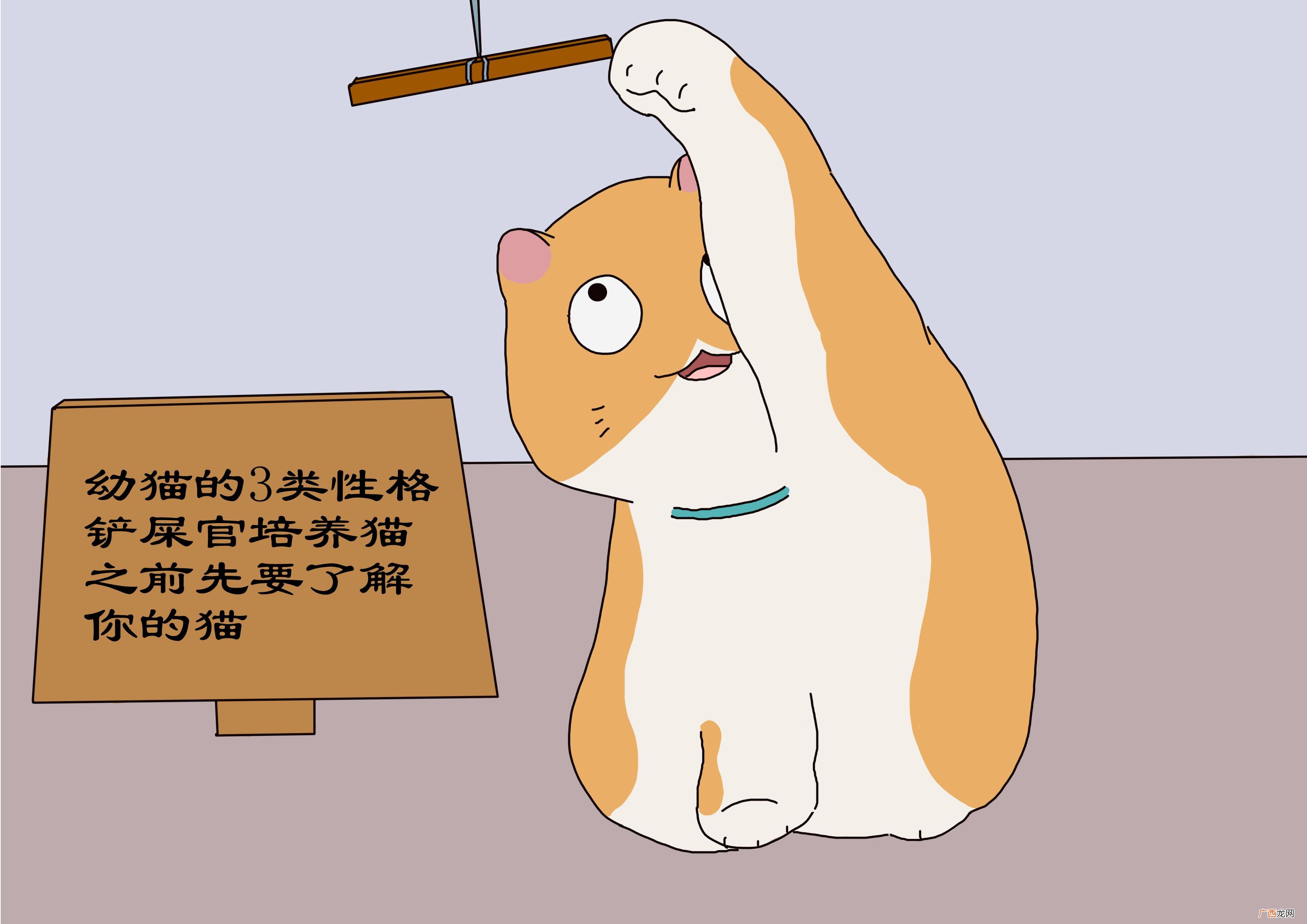 观察宠物小猫特点再对猫进行培养 怎么看幼猫性格好坏