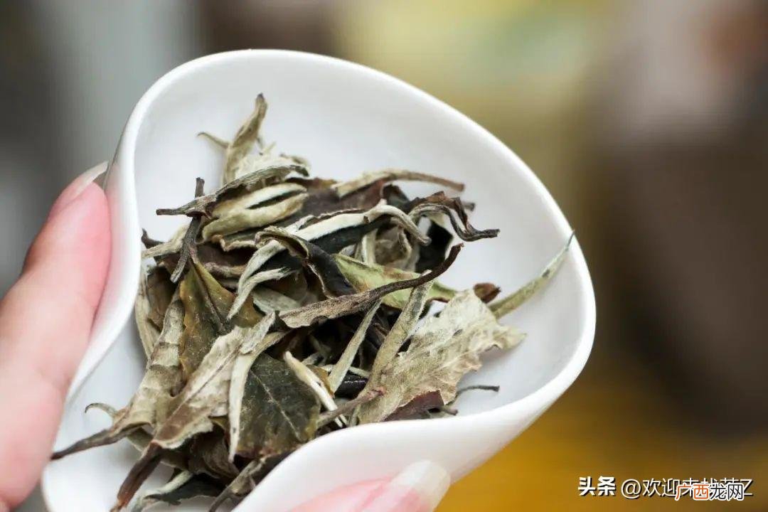 一年四季喝茶顺口溜 白茶适合啥季节喝