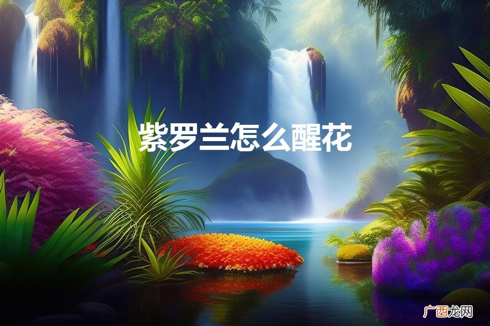 紫罗兰怎么醒花(鲜切紫罗兰怎么醒花)