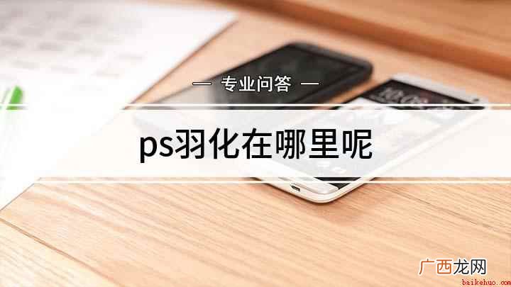 Adobe Photoshop CC 2019使用PS处理、 ps羽化在哪里呢
