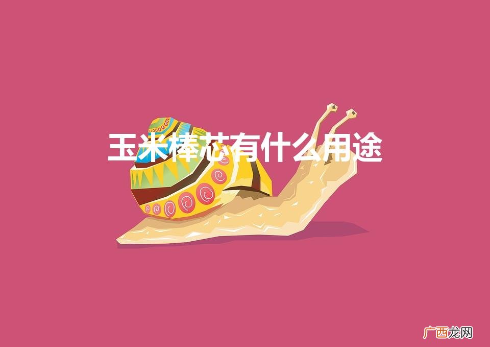 玉米棒子芯可以做什么 玉米棒芯有什么用途