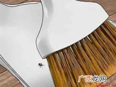 床板有臭虫怎么办的具体操作步骤 床板有臭虫怎么办
