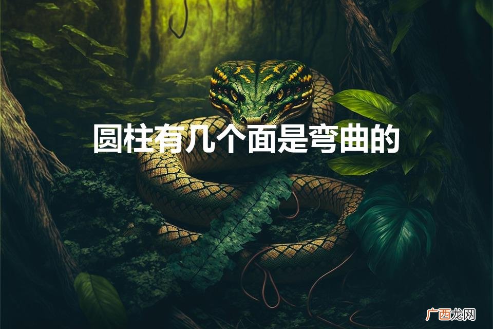圆柱有几个面是弯曲的（圆柱有几个面是弯曲的圆锥的侧面是一个什么面)