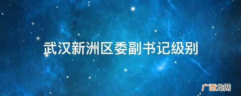 武汉新洲区委副书记级别属于正局级 武汉新洲区委副书记级别