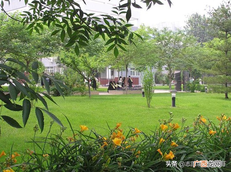 北方工业大学是985还是211大学 北方工业大学是985还是211