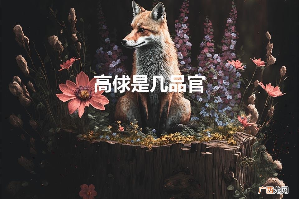 高俅是几品官（高俅什么级别)