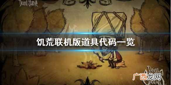 饥荒联机版道具代码一览 饥荒联机版代码怎么写