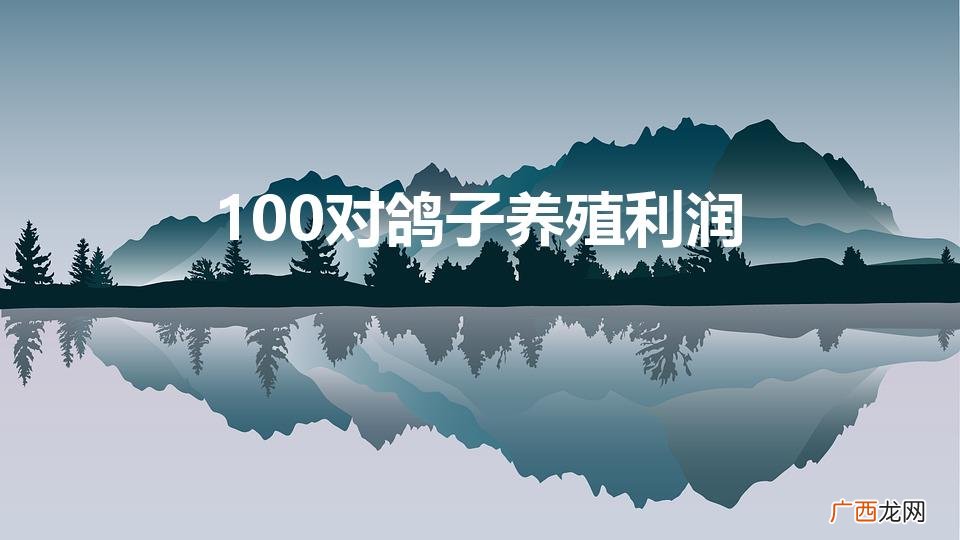 100对鸽子养殖利润（1000对鸽子养殖利润)
