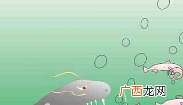 鲶鱼效应是什么意思 鲶鱼效应的意思和由来