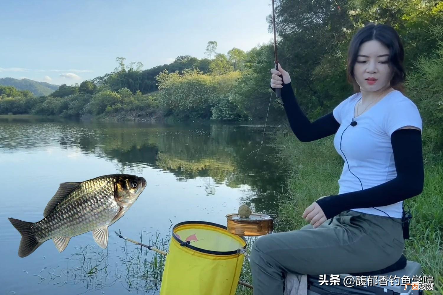 大板鲫的觅食习性和垂钓技巧 怎么样钓鲫鱼