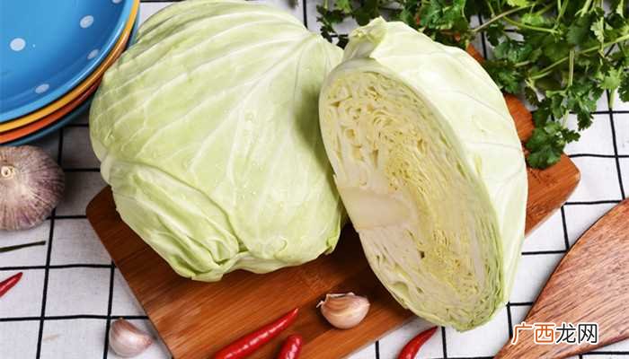 高丽菜其实就是我们平常吃的卷心菜 高丽菜是什么