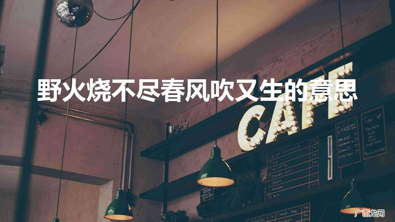 这首古诗的的哲学寓意 野火烧不尽春风吹又生的意思
