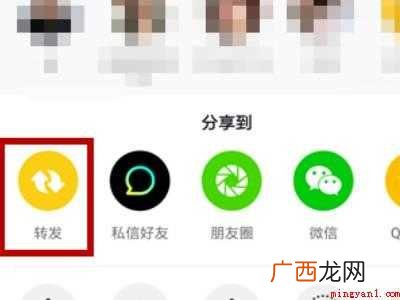 抖音怎么没有转发功能
