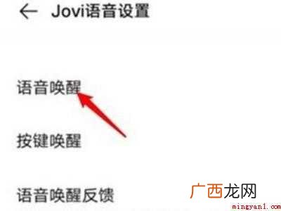 vivos9语音唤醒怎么设置的具体操作步骤 vivos9语音唤醒怎么设置