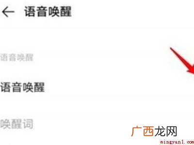 vivos9语音唤醒怎么设置的具体操作步骤 vivos9语音唤醒怎么设置