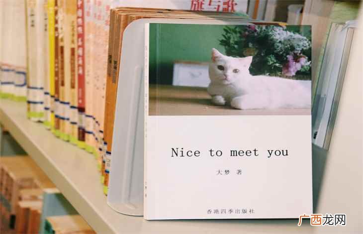 nice是什么中文意思啊 nice是什么中文意思