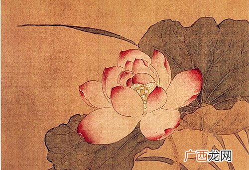 观面相看运气 面相怎么看出人的财运怎样能看出来