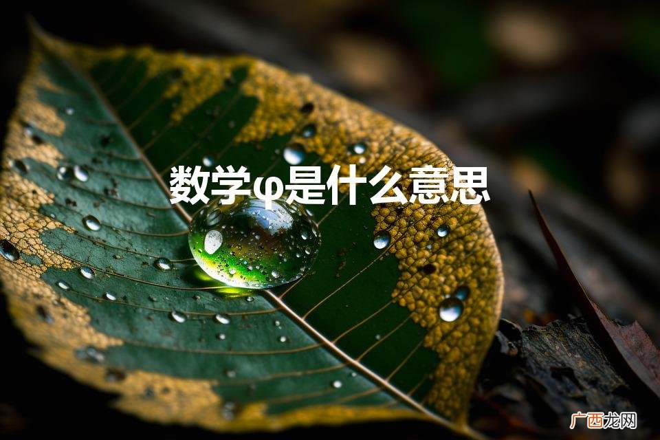 数学r2是什么意思 数学φ是什么意思