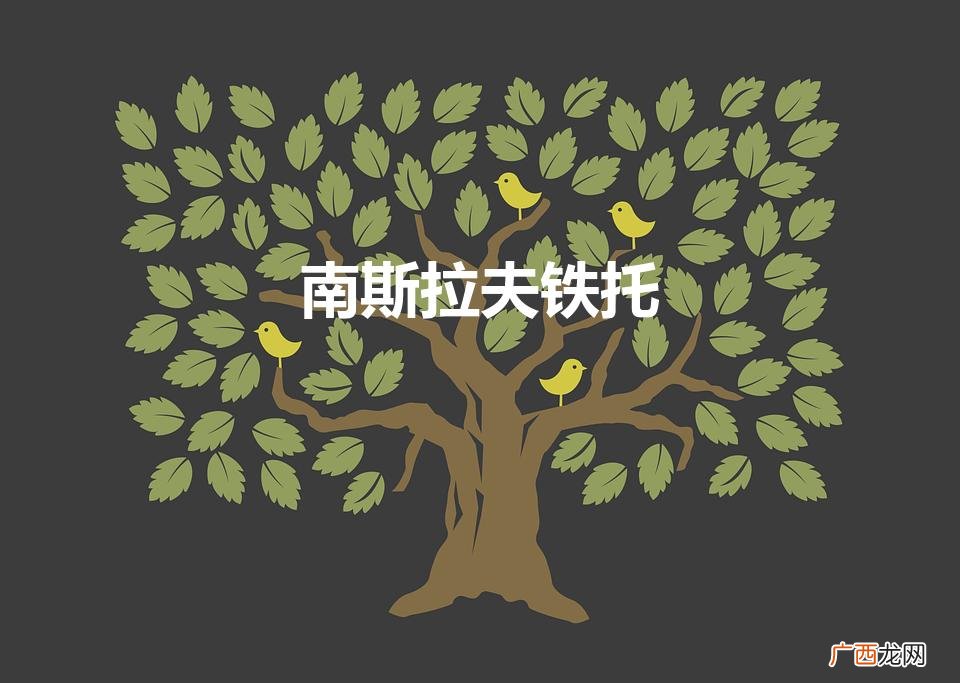 南斯拉夫铁托（南斯拉夫铁托邮票是哪年发行的)