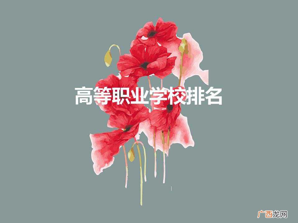 高等职业学校排名（高等职业学校排名榜)