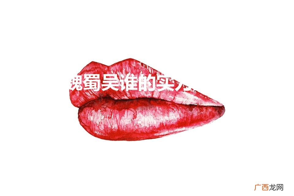 魏蜀吴谁的实力最强（蜀吴谁厉害)