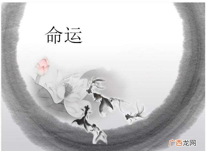 完整版 一命二运三风水十句的解释