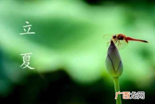 立夏的来历和习俗 立夏的来历是什么
