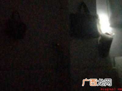 家里隐翅虫怎么找出来的具体操作步骤 家里隐翅虫怎么找出来