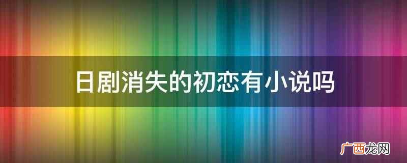日剧消失的初恋没有小说 日剧消失的初恋有小说吗