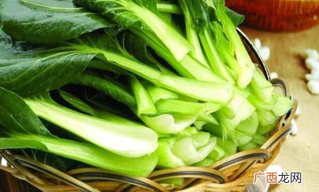 油菜的功效与作用是什么样的 油菜的功效与作用是什么