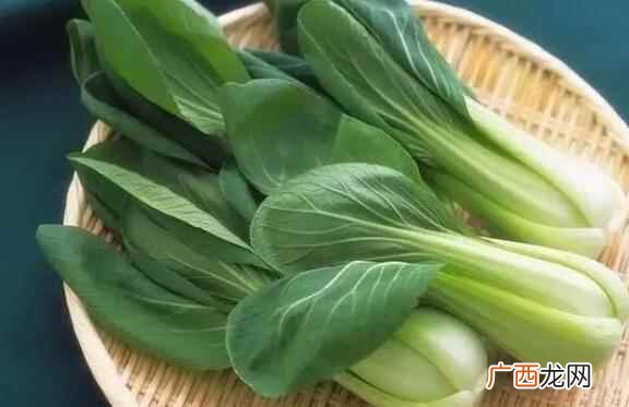 油菜和上海青怎么区别 油菜和上海青的区别