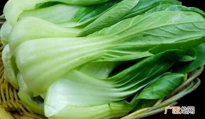 油菜不宜和这几种食物在一起食用 吃油菜的注意事项