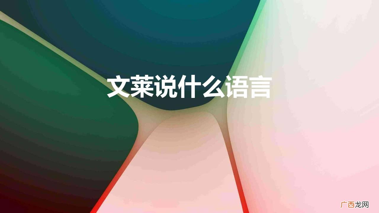 关于文莱的地理位置和文化习俗介绍 文莱说什么语言
