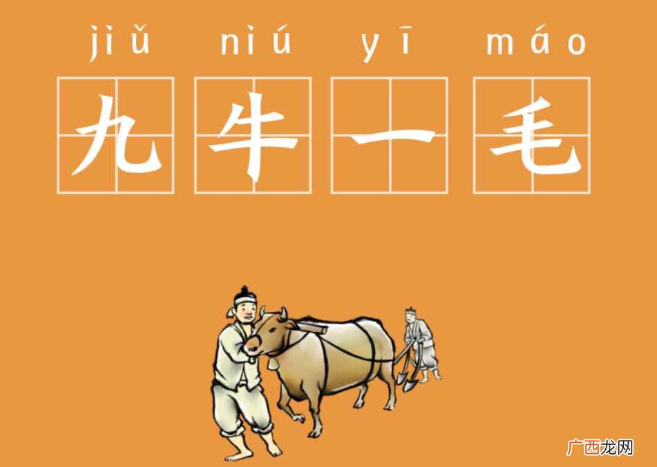 拼音:jiu niu yi máo 九牛一毛是什么意思