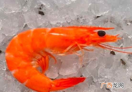 吃虾的时候会有一定的饮食禁忌 吃虾不能吃什么