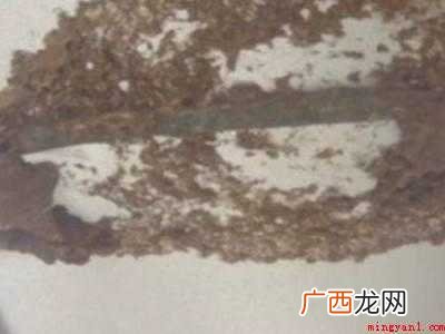发现马蜂窝怎么处理的具体操作步骤 发现马蜂窝怎么处理