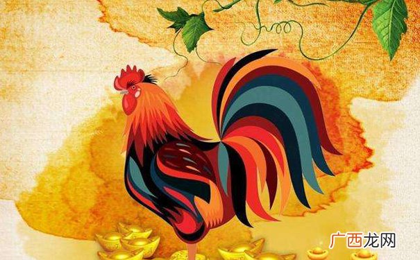 两人相配婚姻一般 属鸡男跟属猪女合适做夫妻吗