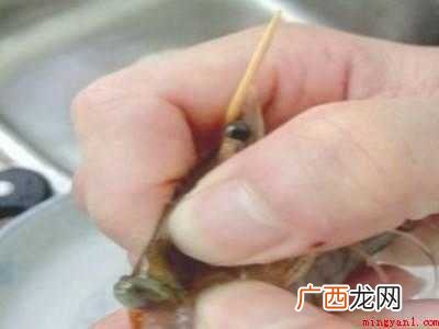 用牙签怎么挑虾线的具体操作步骤 用牙签怎么挑虾线