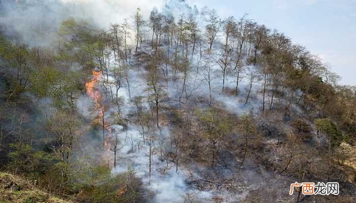 B类火灾指液体或可熔化固体物质火灾 b类火灾是指什么