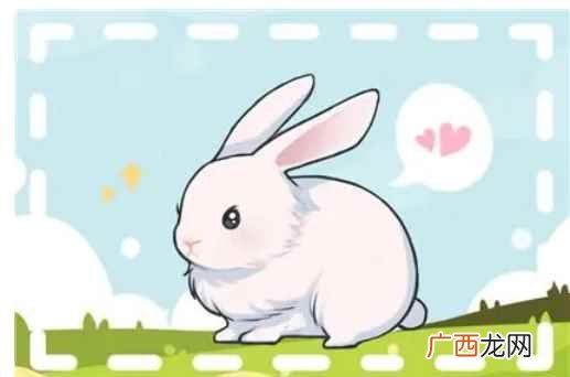 兔宝宝几月出生最好 属兔的和什么属相最配 兔宝宝几月出生最好