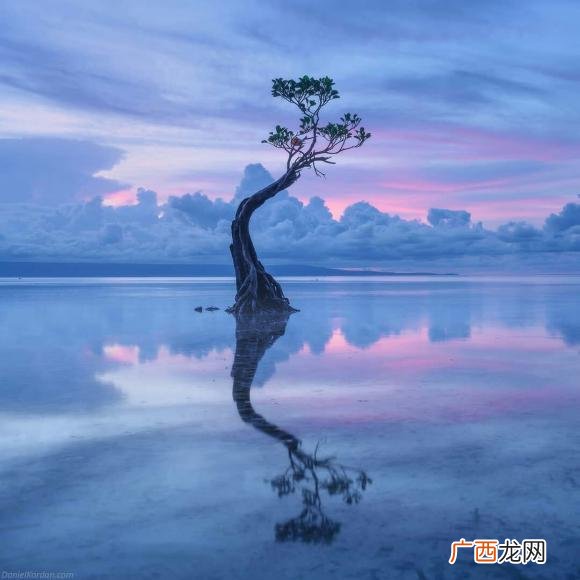 形容思念前任的句子委婉一点的 简短的一句话思念前任